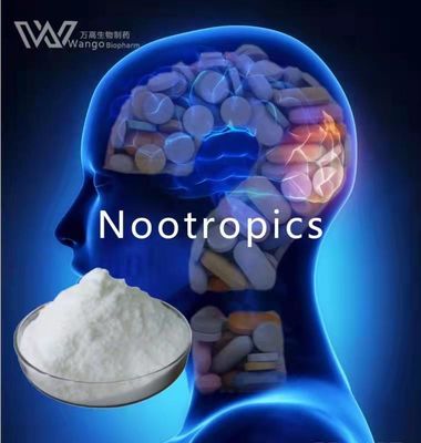 Idra21 Memory Cognitive Enhancement Nootropics Brain Supplement