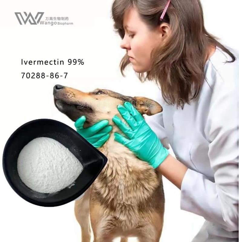 Ivermectin Veterinary Antibacterial Powder Antiparasitic Drug 70288-86-7