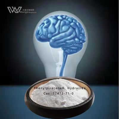 PhenylpiracetamのヒドラジッドのNootropicsの大きさ粉GMP CAS 77472-71-0